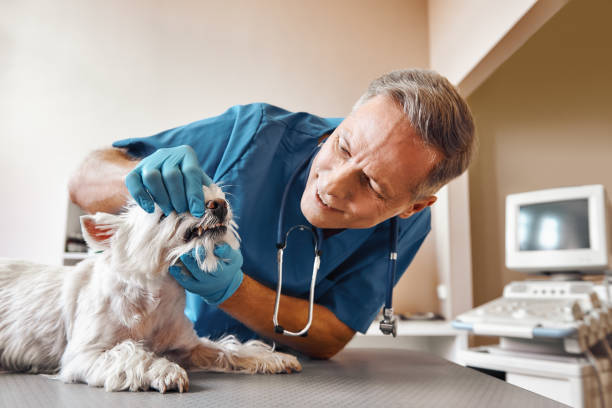 Best Tooth Pain Emergency Relief  in Irving, TX